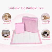OEM ODM Tapis d'apprentissage jetables pour chiens, haute absorption, anti-fuite, pour chiots, usage domestique, en cage et en voyage
