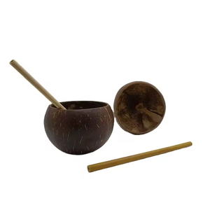 Bol en Coque <span class=keywords><strong>de</strong></span> <span class=keywords><strong>Noix</strong></span> <span class=keywords><strong>de</strong></span> <span class=keywords><strong>Coco</strong></span> Naturelle 2026 – Créatif et Adorable pour la Décoration Intérieure - Product Image 1