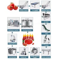 Machine de Production de Jus de Tomate et Concentré Ligne de Traitement Complète de Pâte de Tomate