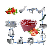 Ligne de production automatique de petite pâte de dattes HNOC Ligne de production de confiture de fraises