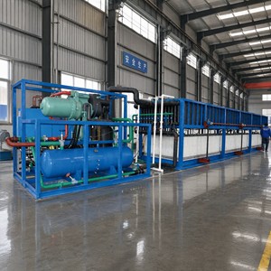 Grande machine à glace en blocs à réfrigération directe, produits très demandés vendus directement par les fabricants - Product Image 2