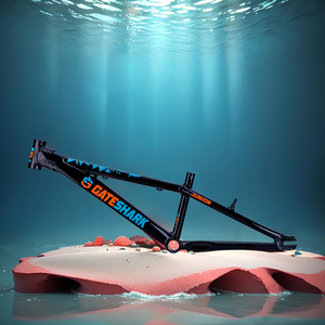 Khung xe đạp BMX đua hợp kim 20 inch, kiểu dáng đua BMX, tạo hình thủy lực, ba lớp, xử lý nhiệt, ống lái tích hợp CNC, dành cho người trẻ tuổi - Product Image 3