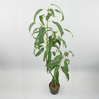 Plante artificielle haut de gamme en pot, peuplier blanc, 105 cm, pour décoration intérieure de mariages, bureaux, halls d'hôtels, restaurants et espaces commerciaux