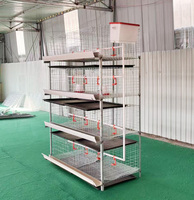 Cage à poulets de chair à 4 niveaux en acier galvanisé, capacité 60/80 poulets adultes, à vendre