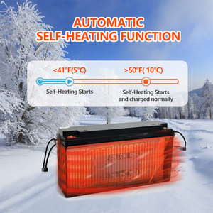 12V 100AH 200AH chu kỳ sâu Lithium sao lưu cranking bắt đầu pin off-lưới container nhà nhóm LiFePO4 pin lithium - Product Image 4