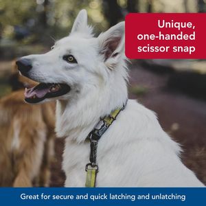 สุนัขชายฝั่ง K9สะท้อนแสงพร้อมสแนปแบบกรรไกรสายจูงไนล่อนทนทานและลูกสุนัขอุปกรณ์สัตว์เลี้ยงสำหรับสุนัขแคมป์ไฟ - Product Image 6