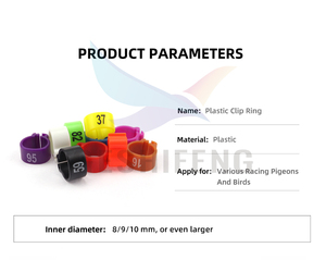ฟรีตัวอย่างพลาสติก Parrot แหวนเท้า2020 Pigeon Supplies แหวนนก Canary Bird แหวน Fio/ - Product Image 2