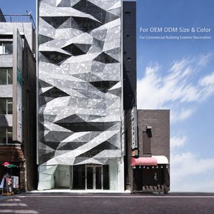 Façade en aluminium à géométrie asymétrique et irrégulière, avec revêtement translucide, pour devanture de magasin de détail - Product Image 1