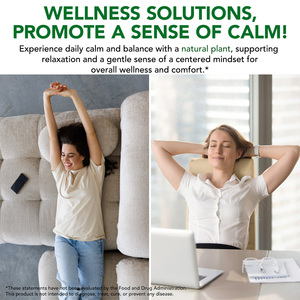 アセンシャルラボ 6000MG 植物エキス メンタルクリアリティ フォーカス アシュワガンダ複合体 ソフトジェル ストレス軽減 カーム アシュワガンダ ソフトジェル - Product Image 5