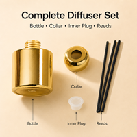 Bouteille diffuseur de parfum en verre électroplaqué de luxe de 120 ml avec bouchon pour la maison, aromathérapie, bouteille diffuseur vide