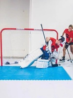 Planche d'entraînement de hockey sur glace simulée pour patinoires domestiques, compatible avec les patins à glace, les blocs de glace, la manipulation des rondelles et le tapis d'entraînement au tir