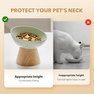 Bol pour animaux de compagnie en céramique écologique durable Shamitao avec support en bambou, antidérapant et anti-chute, pour nourriture et eau pour chats et chiens - Product Image 4