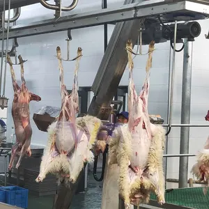 Macello di capra rituale di carne di montone di pecora macello macchina per agnello Halal macellaio macellaio