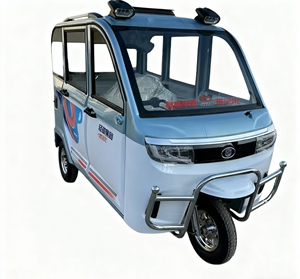 Triciclo Eléctrico C18 de Tres Ruedas Totalmente Cerrado, Mini Coche, Triciclo de Cuatro Ruedas - Product Image 1