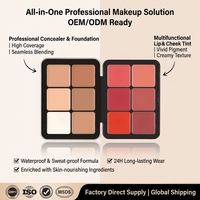 Crème blush, anticernes et palette de 12 teintes à fini naturel, marque privée d'usine, logo personnalisé disponible pour le maquillage professionnel