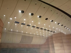 <span class=keywords><strong>Plafond</strong></span> en lattes GRG léger, résistant à la corrosion, écologique, panneau 3D avec absorption acoustique naturelle <span class=keywords><strong>pour</strong></span> hall d'hôtel - Product Image 4