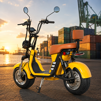 Brezilya Kapıdan Kapıya Citycoco Elektrikli Scooter 1000W 60V20A Depo Stoğu Yetişkin Şişman Lastikli E-Scooter