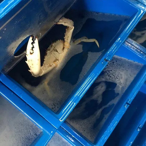 seafood <b>plastic</b> <b>crates</b> crab lobster aquaculture <b>folding</b> stackable turnover box with lid <b>plastic</b> farming system box