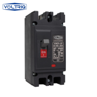 DC MCCB boîtier disjoncteur interrupteur à air Protection contre les surcharges 100A 125A 250A 500V 750V 1000V 2P boîtier moulé à usage électrique