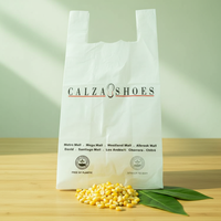 Sac de courses personnalisé avec logo, imprimé en héliogravure, 100% biodégradable, compostable, respectueux de l'environnement, en matériau CPP
