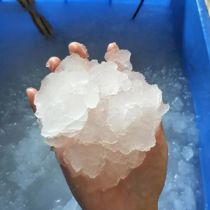 <span class=keywords><strong>Unidad</strong></span> de Procesamiento de Mariscos con Hielo, Máquina de Hielo en Escamas para la Conservación de la Frescura del Atún, Salmón y <span class=keywords><strong>Ostras</strong></span> - Product Image 5