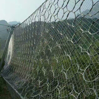 Systèmes de clôture en treillis galvanisé de 4,0 mm pour la protection contre les chutes de pierres, filet de protection des pentes en acier galvanisé
