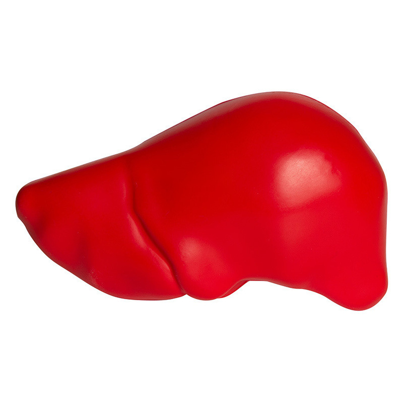 ตับจำลอง