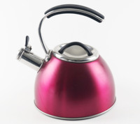 LFGB Wholesale Featured Handle Induction Stovetop 3L Electric Stainless Steel Whistling Tea Kettle Pot