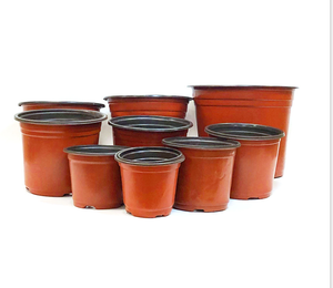 Thickened two-color blister soft flowerpot plastic flowerpot black currant pot maceta de vivero