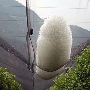 Nhà máy trực tiếp tùy chỉnh-thực hiện Polyethylene (PE) nông nghiệp chim lưới/chống mưa đá lưới - Product Image 4