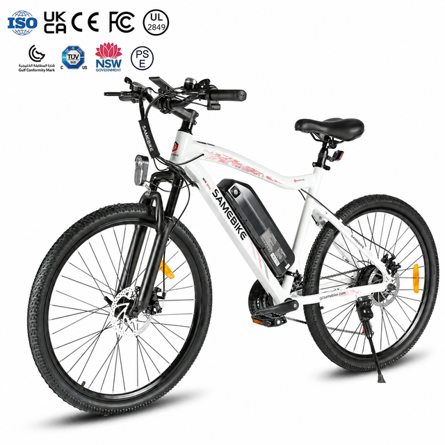 Customized Lithium Brushless Electric Mountain Bicycles with Front Suspension Hydraulic Disc Brakes High Carbon Steel Frame