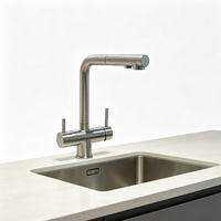 Robinet de cuisine contemporain en acier inoxydable 304 avec douchette extractible