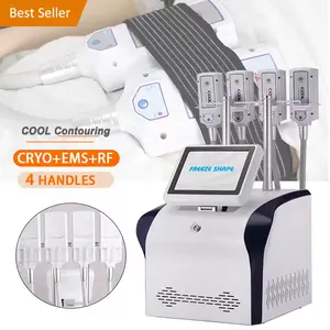 Cryotherapy Fat Burning EMS pads Cool Thermal Paddles Fat Freeze Machine For Sale