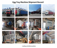 Machine à fabriquer des barquettes à œufs en paille de marque Pantao avec système de séchage, électrique, capacité de 1000 à 12000 pièces