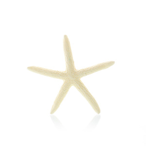 Piccoli oggetti artigianali ecologici in resina per <span class=keywords><strong>acquari</strong></span> paesaggistici acquario decorazioni mobili per acquario corallo stella marina ornamenti scatola di imballaggio - Product Image 3