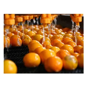 Top Quality Fruit Pulp Processing Machine
