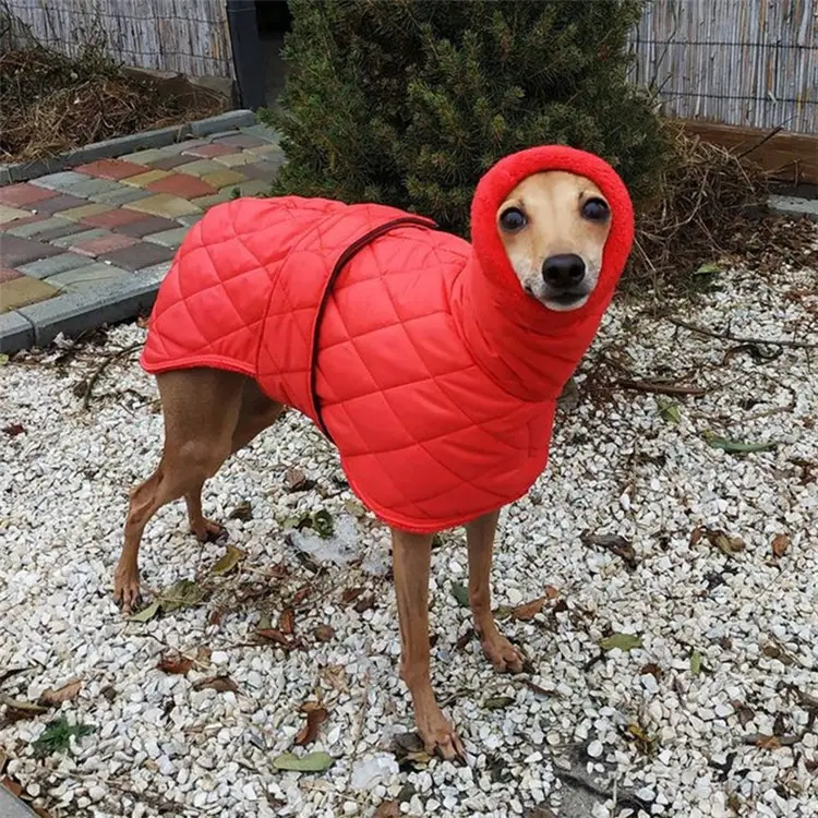 Inverno cotone poliestere nero arancione giallo cane vestito vestiti di lusso per animali domestici per cani di piccola taglia