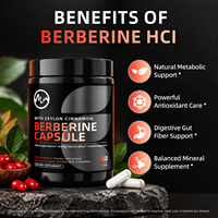 Capsules d'extrait d'herbes naturelles OEM Berberine HCl Chlorhydrate de haute qualité 500mg 1000mg – Complément de Berberine Naturelle en Capsules