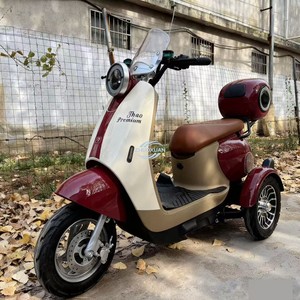 EasyRide Efficient Cruiser - Product Image 1
