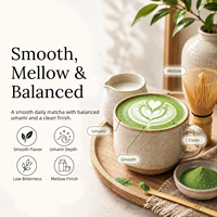 Échantillon Gratuit – Poudre de Matcha en Vrac 800 Mesh, Sans Astringence, Saine et Antioxydante, Idéale pour la Cuisson et les Boissons
