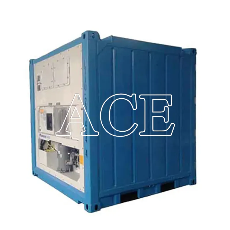 8ft DNV 2.7-1 Standard Fresh and Frozen Goods 8 ft Offshore Reefer Container