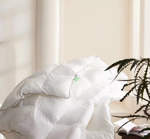 Edredones y Colchas de Algodón de Seda con Estampado de <span class=keywords><strong>Plumas</strong></span> Blancas Puras, Transpirables, para Otoño, de Lino Cepillado, para Hotel - Product Image 6