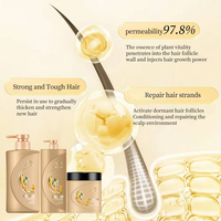 Sampo Ekstrak Jahe Label Pribadi, Perawatan Rambut Pengontrol Minyak, Produk Perawatan Rambut Herbal Organik, Sampo Ginseng Bernutrisi