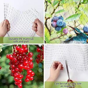 Nuovo verde polietilene vigneti giardini di frutta e ortaggi cortile alberi agricolo Anti-uccello rete recinzione - Product Image 2
