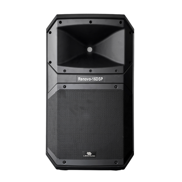 Renovo-15DSP New 15 Inch 2 Way Array Column Speaker PA System DSP Outdoor Indoor Audio DJ Stage Professional Active