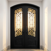 Porte en fer forgé à double arche avec vitrage