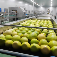 Industriële citroenverwerkingsinstallatie automatische groente- en fruitreinigingsmachine 304 roestvrij staal verse citroenlijn
