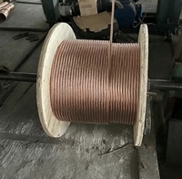 Fil de cuivre gainé d'acier toronné 30% IACS 7*3.5mm, conducteur de mise à la terre CCS ultra-épais de 0.152mm, 580kg