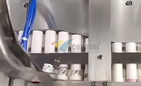 Machine automatique de remplissage, de bouchage et d'emballage de tubes pour comprimés nutraceutiques et comprimés effervescents de vitamine C