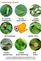 Massief Plastic Eco-Monitorsysteem Plakkerige Fruitvliegenvangen Voor Insectenbestrijding In De Landbouw Plastic Kleefbord